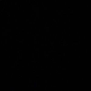 Meet your Posher, Bailey